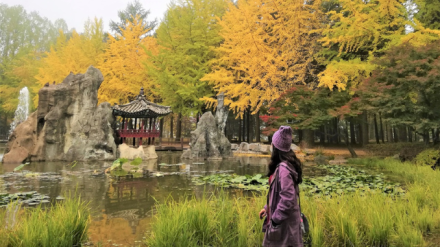 Nami Island! Wisata Hits Incaran Turis Asing Korea Selatan