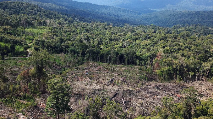 Hutan Purba Permatan, Aceh