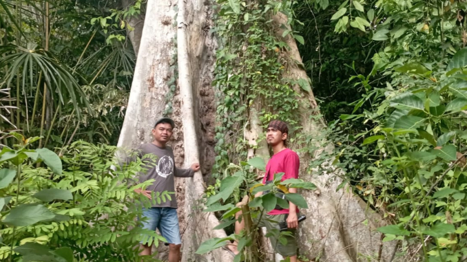 Hutan Ranjuri, Sumatera Barat